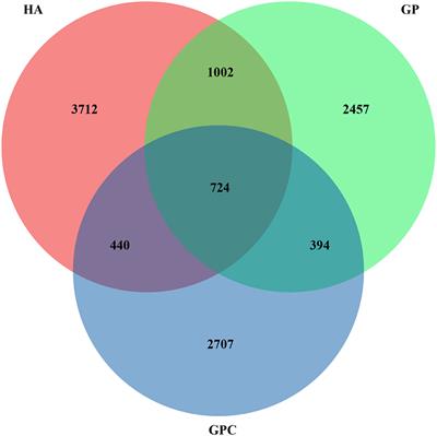 Diversity of growth performance and rumen microbiota vary with feed types